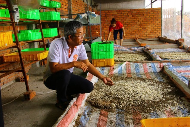 Description: http://image.tintucmientay.com.vn/fckeditor/upload/2019/20191020/images/Dong-Thap-Lao-nong-ban-trung-ruoi-15-trieukg_2.jpg